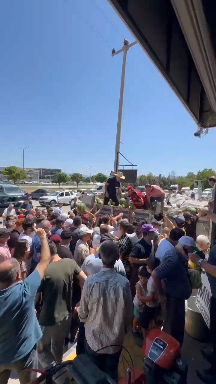 12 ton karpuz 20 dakikada bitti 7