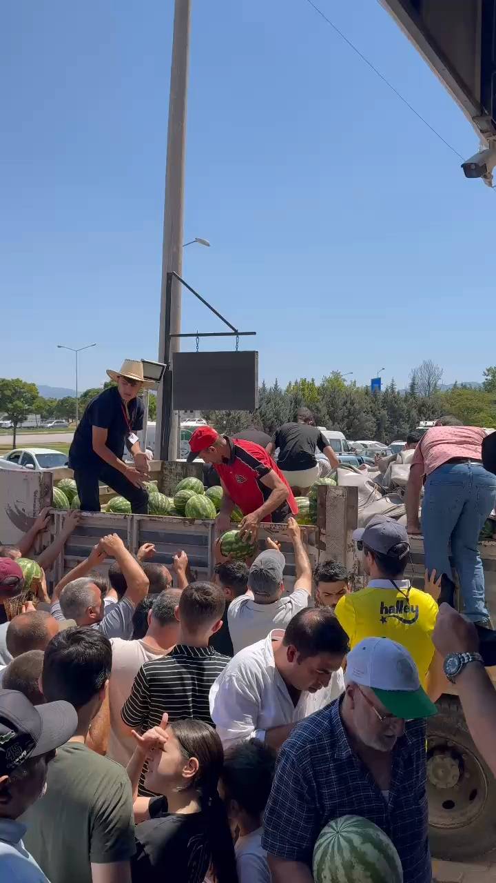 12 ton karpuz 20 dakikada bitti 6