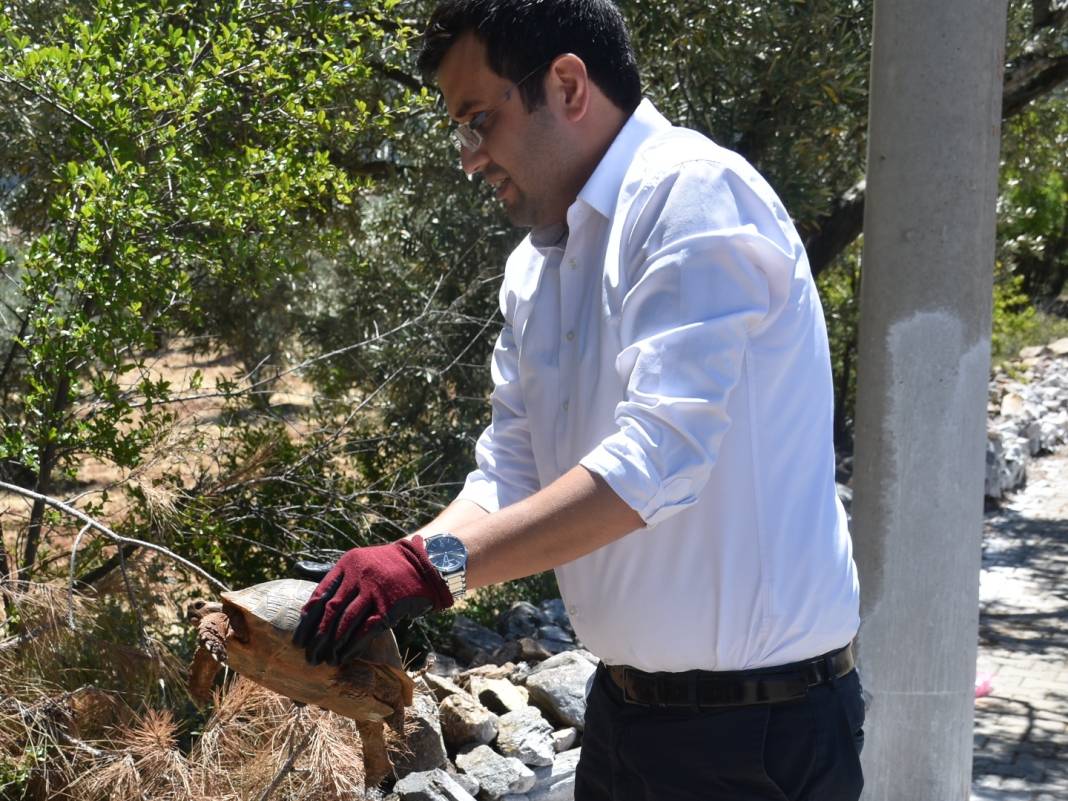 Doğaya atılan çöpler canlıların ayağına dolanıyor 4