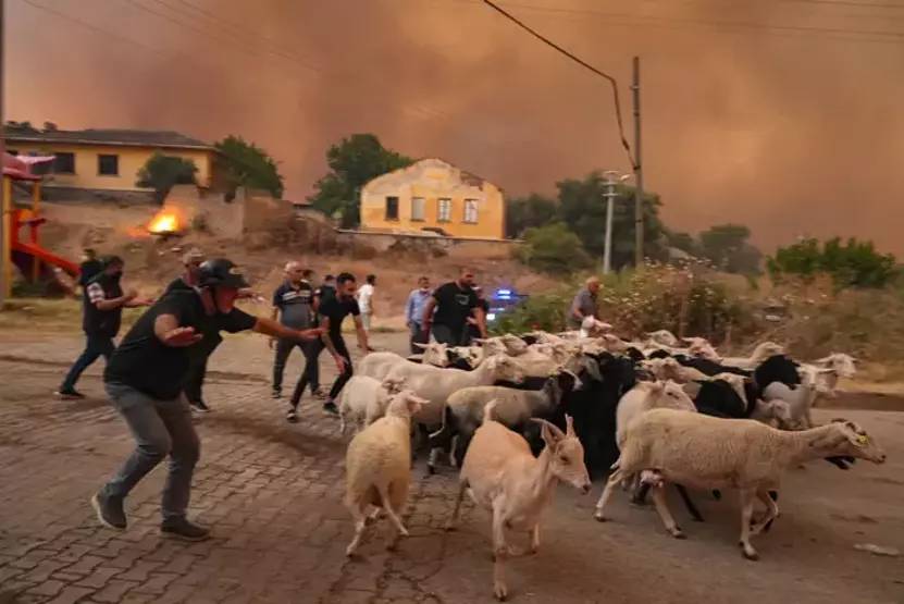 Helal olsun sana İlkin Aydın: Yine yaptı yapacağını 1