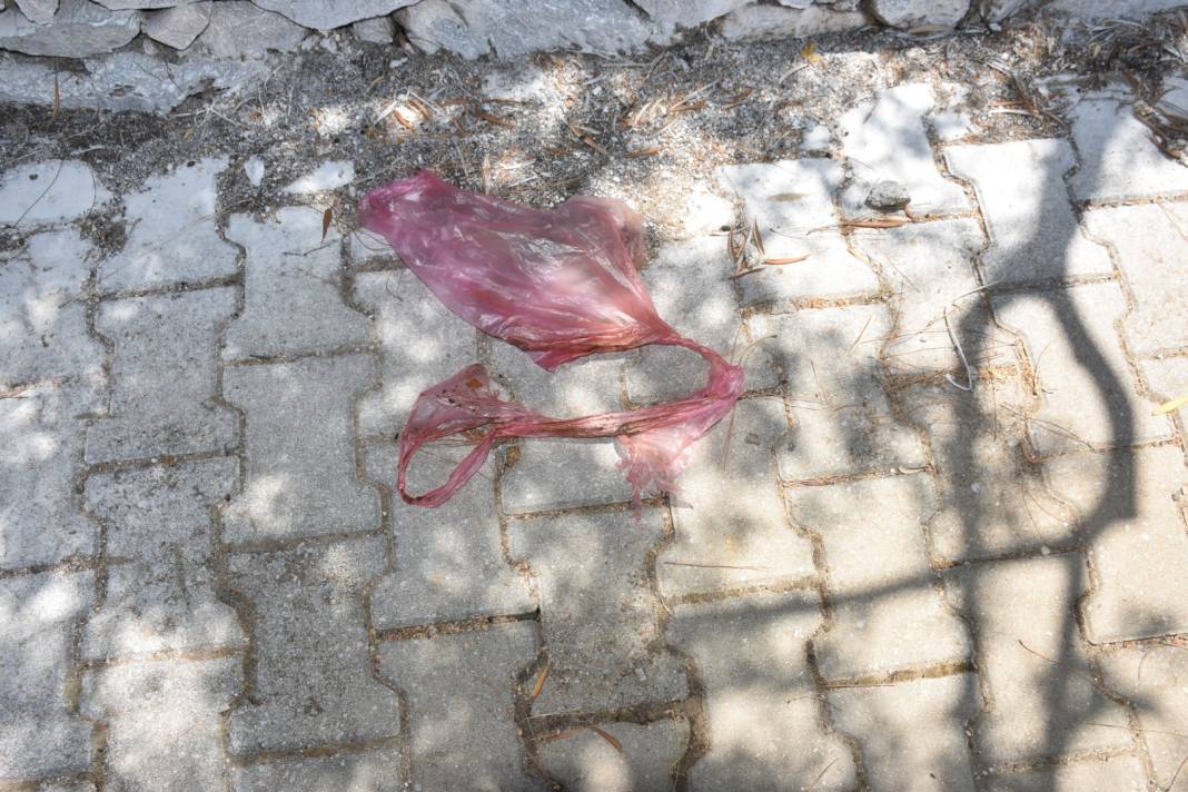 Doğaya atılan çöpler canlıların ayağına dolanıyor 5