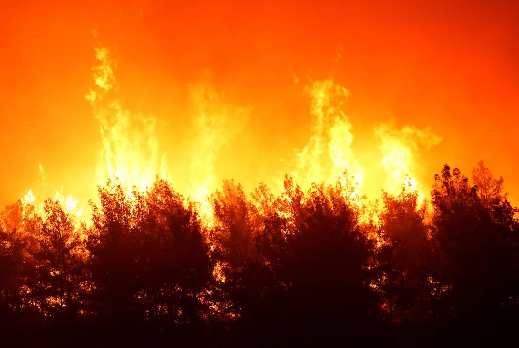 Yangınlardan geriye kül olan ağaçlar ve evler kaldı 3