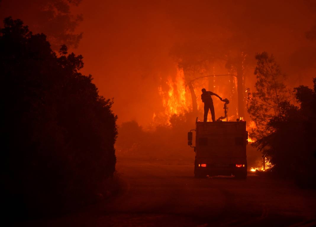 Yangınlardan geriye kül olan ağaçlar ve evler kaldı 1