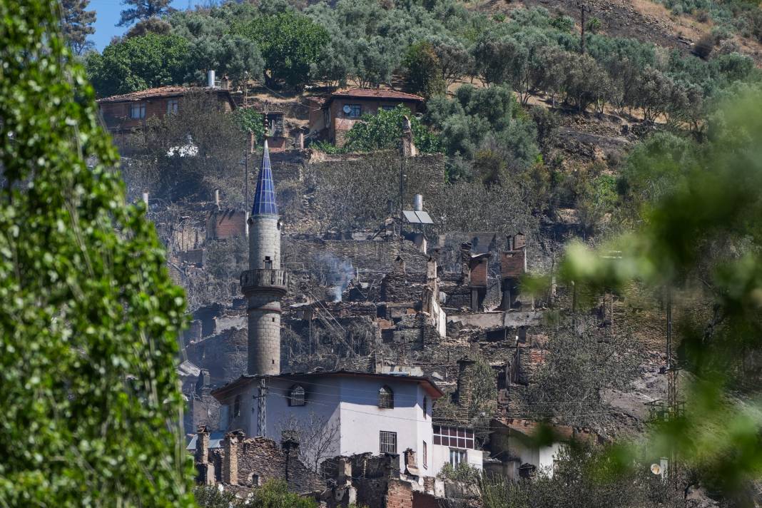 Yangınlardan geriye kül olan ağaçlar ve evler kaldı 6