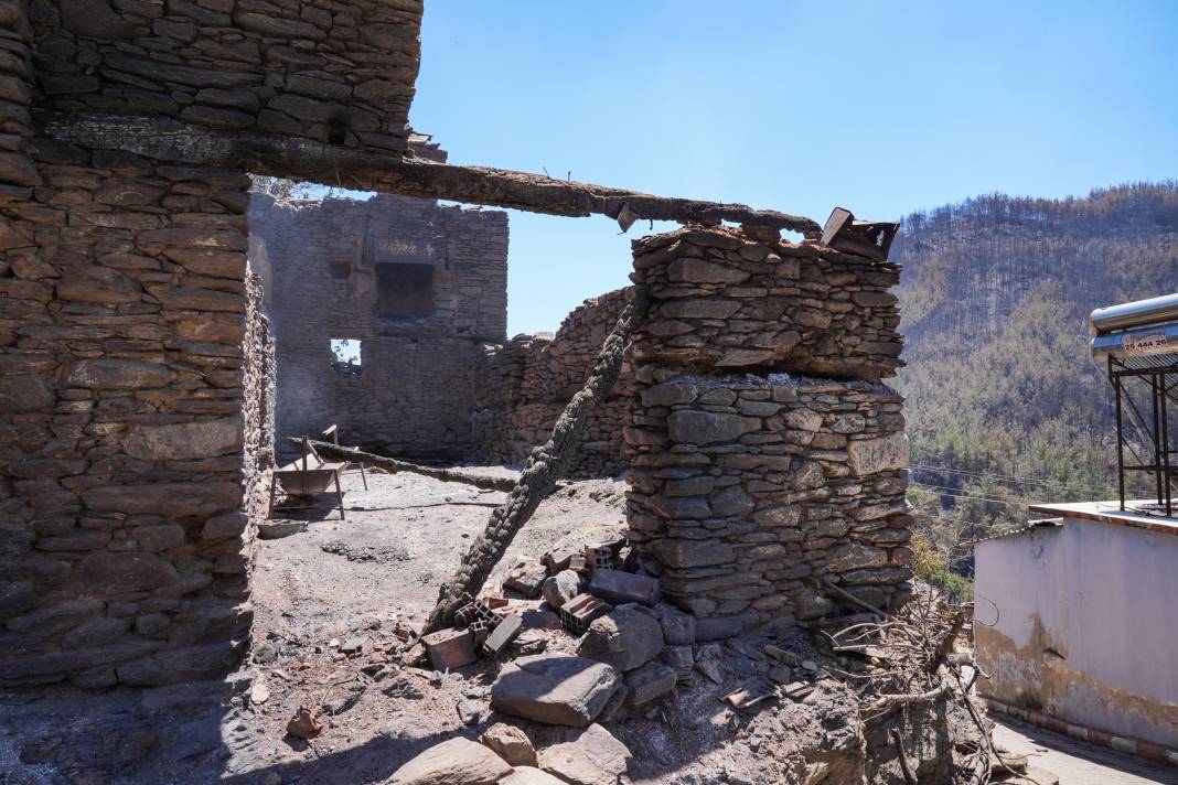 Yangınlardan geriye kül olan ağaçlar ve evler kaldı 14