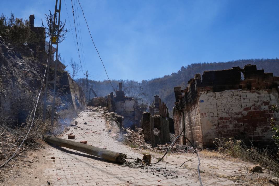 Yangınlardan geriye kül olan ağaçlar ve evler kaldı 7