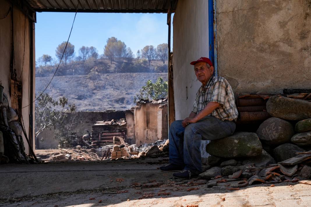 Yangınlardan geriye kül olan ağaçlar ve evler kaldı 15