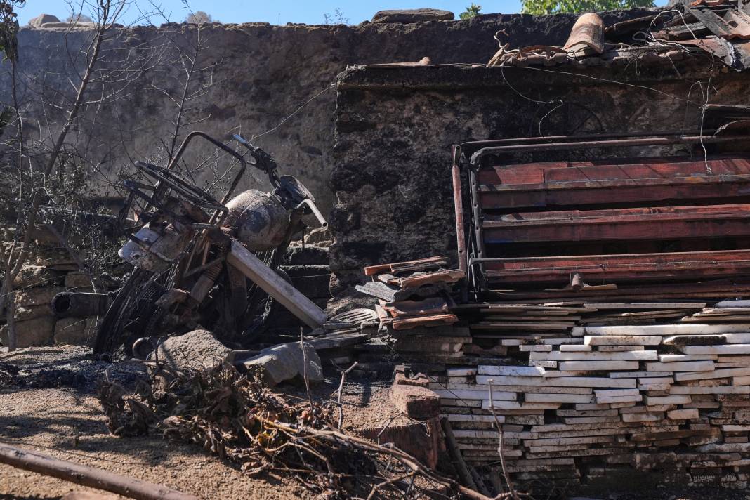 Yangınlardan geriye kül olan ağaçlar ve evler kaldı 13