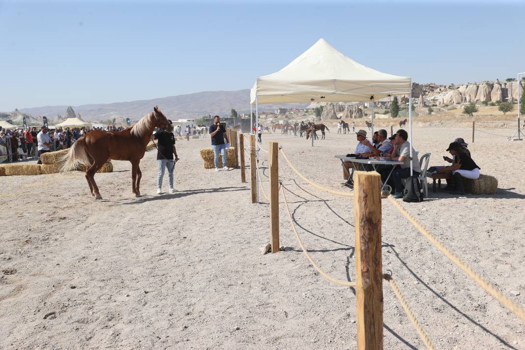 Aşıklar şehrinin güzelleri podyuma çıktı 4
