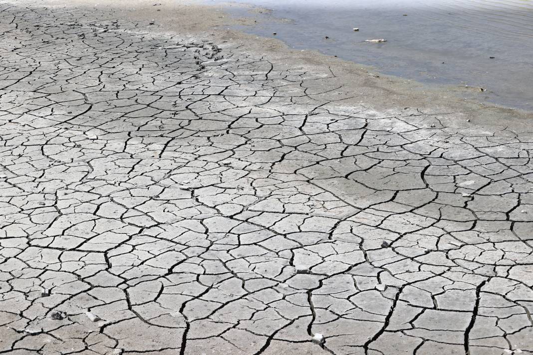 Kuraklığın pençesindeki Ulaş Gölü'nde flamingo sürprizi 1