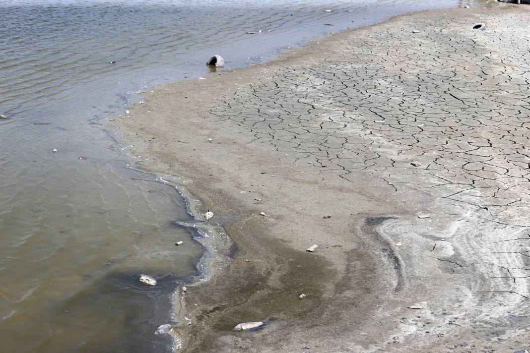 Kuraklığın pençesindeki Ulaş Gölü'nde flamingo sürprizi 7
