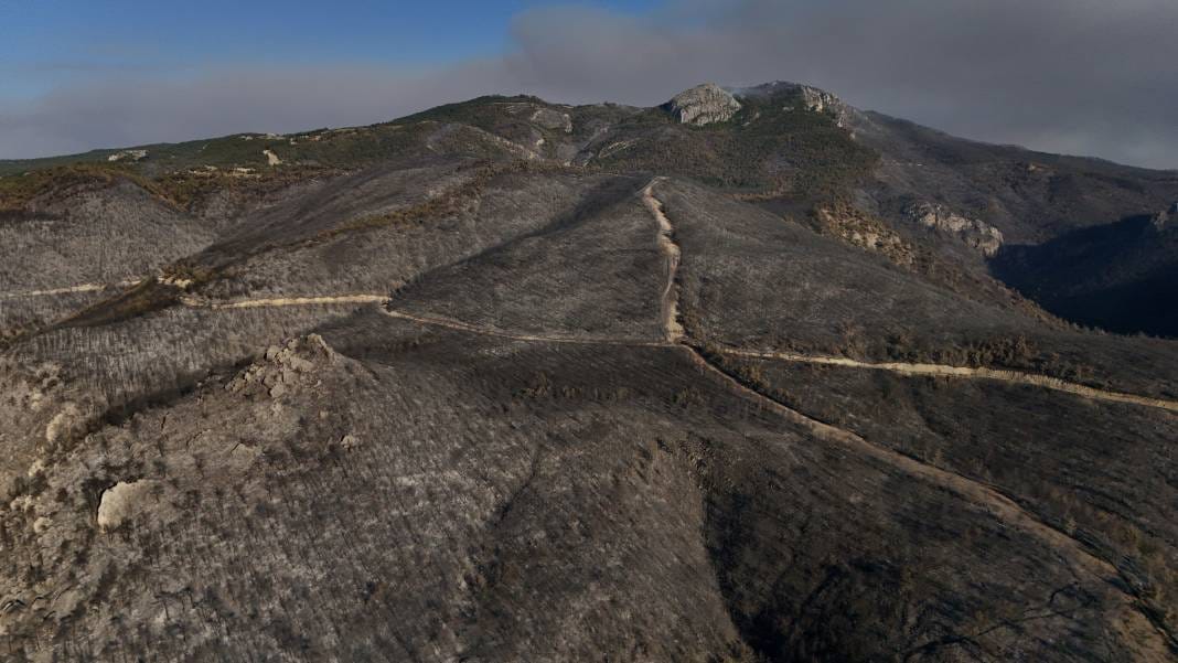 Sakarya'da yürek acıtan görüntüler: Yangının bıraktığı hasar ortaya çıktı 7