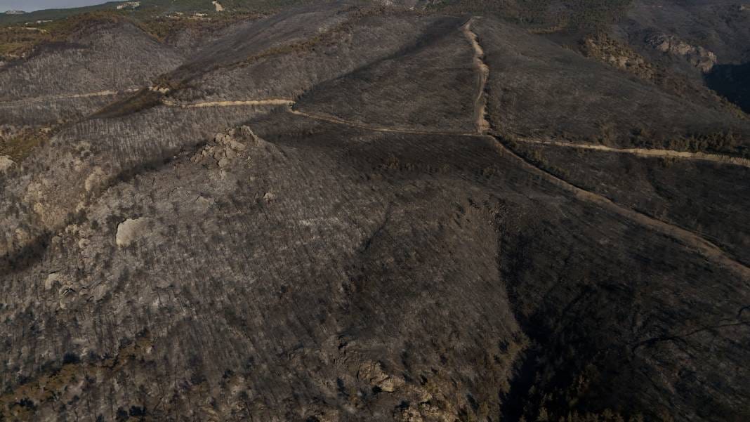Sakarya'da yürek acıtan görüntüler: Yangının bıraktığı hasar ortaya çıktı 8