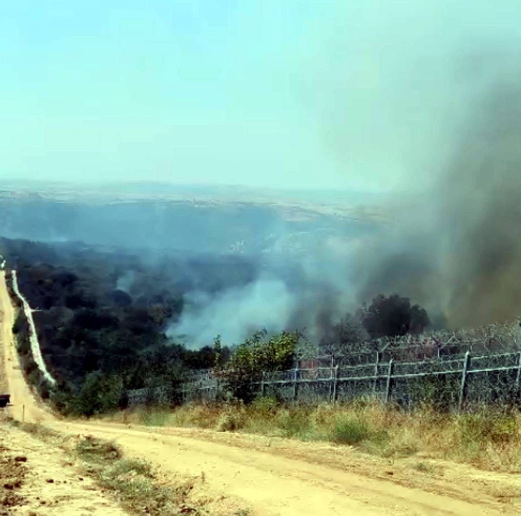 Bulgaristan’daki yangın Türkiye sınırına dayandı 12