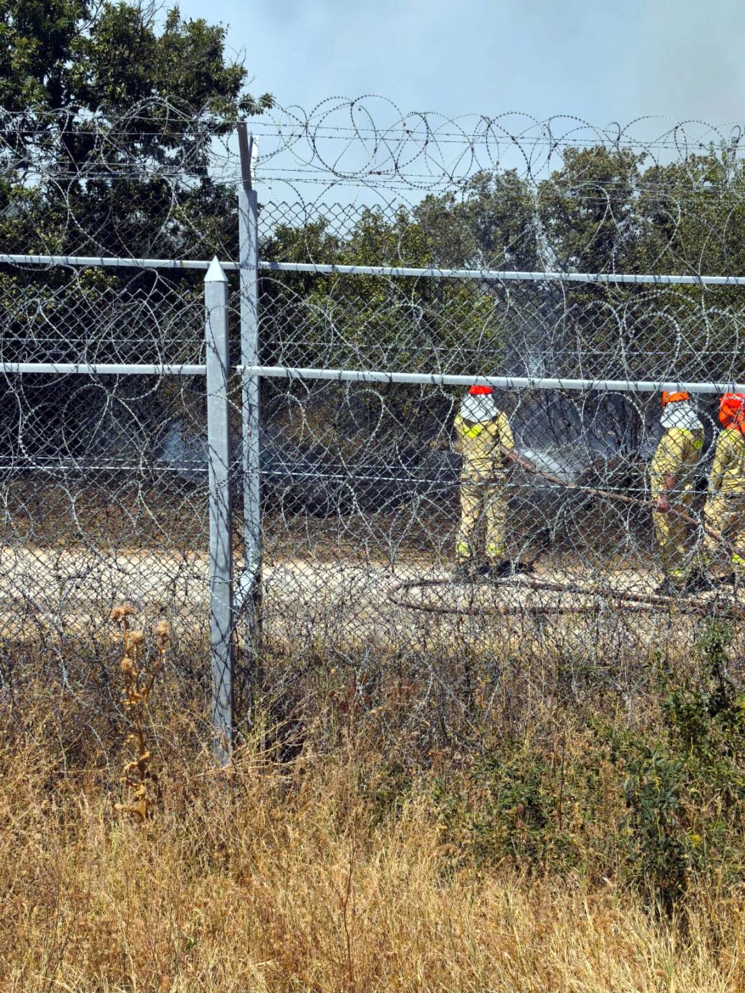 Bulgaristan’daki yangın Türkiye sınırına dayandı 3