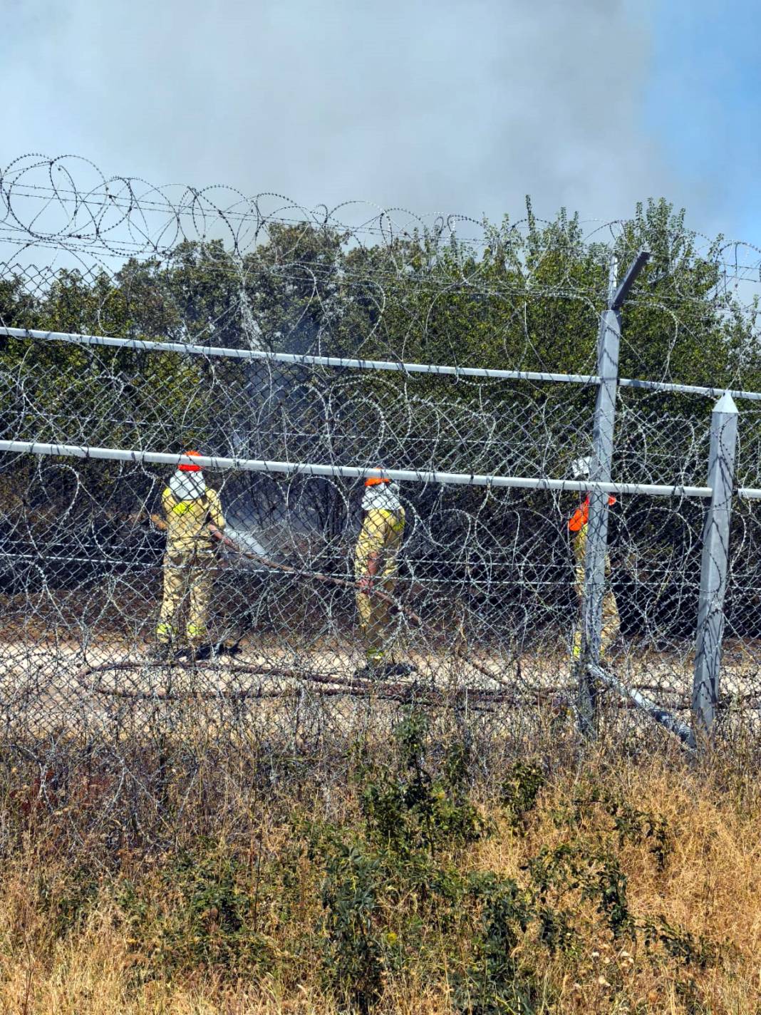 Bulgaristan’daki yangın Türkiye sınırına dayandı 2