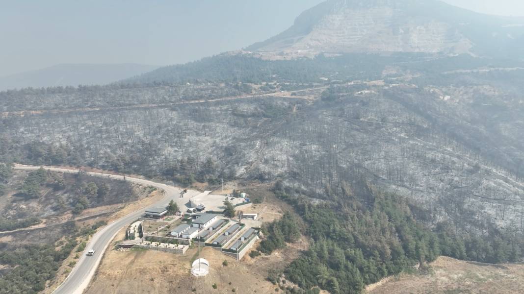 Bursa yangını 5. gününde kontrol altına alındı! İşte alevlerin arkasında bıraktıkları… 7