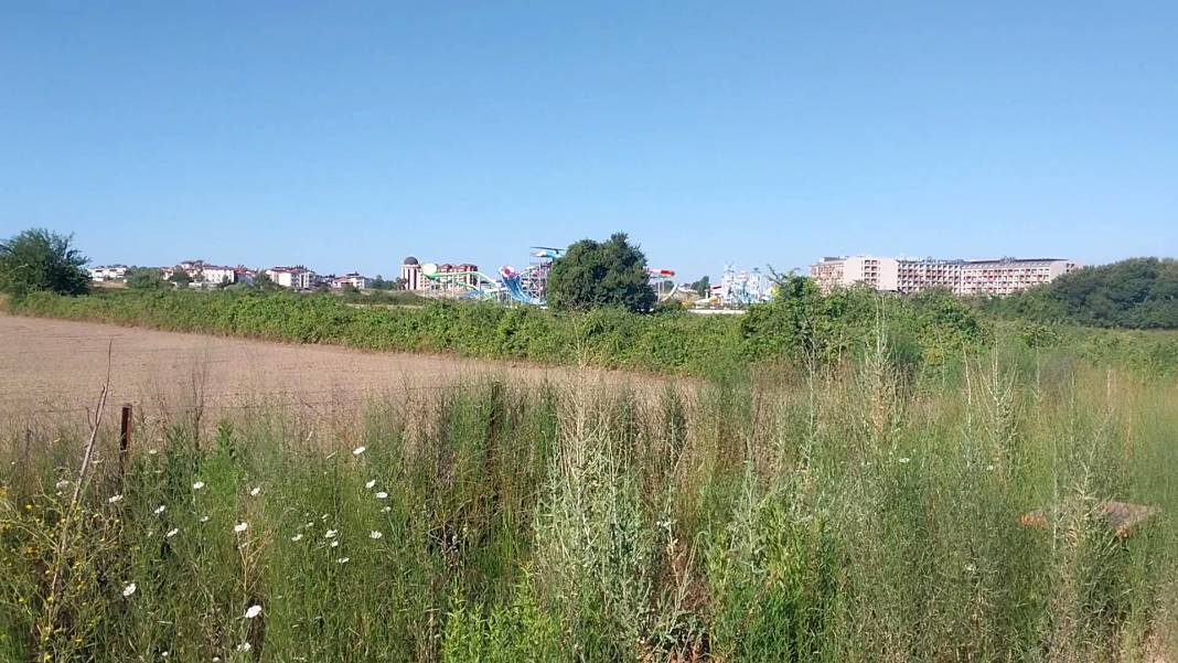 Antalya'da kafesinden kaçan aslan yakalandı! Bir kişiyi ağır yaraladı 11