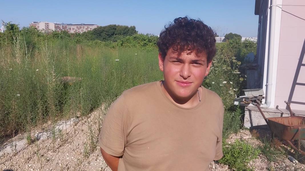 Antalya'da kafesinden kaçan aslan yakalandı! Bir kişiyi ağır yaraladı 5