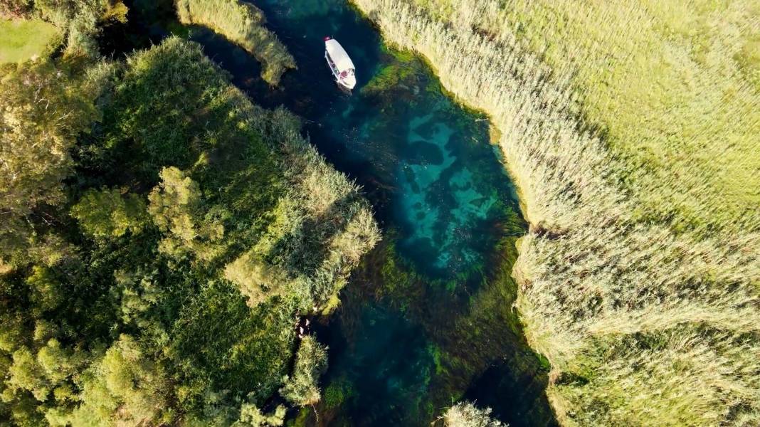 Kırmızı listede yer alıyordu! Muğla'da ortaya çıktı 5