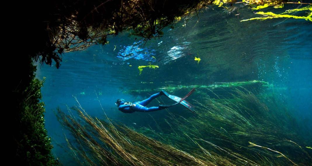 Kırmızı listede yer alıyordu! Muğla'da ortaya çıktı 6