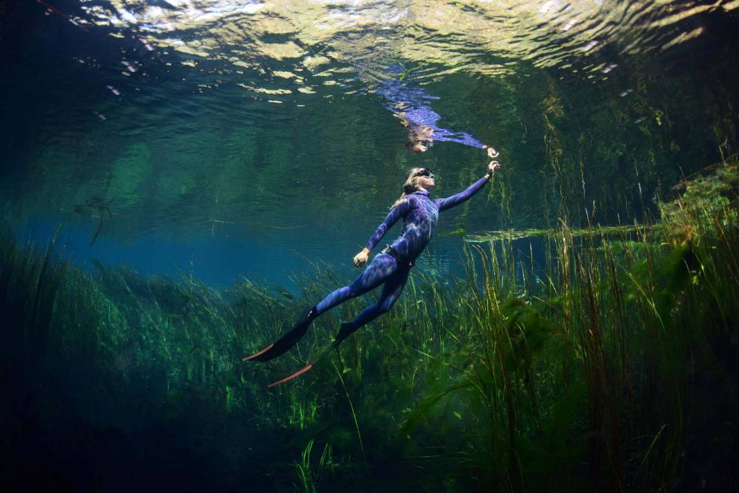 Kırmızı listede yer alıyordu! Muğla'da ortaya çıktı 1
