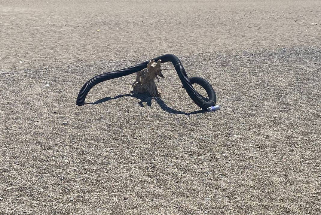 Antalya sahillerinde görülmemiş olay! Kıyıya vurdu, uzunluğu tam 500 metre 3