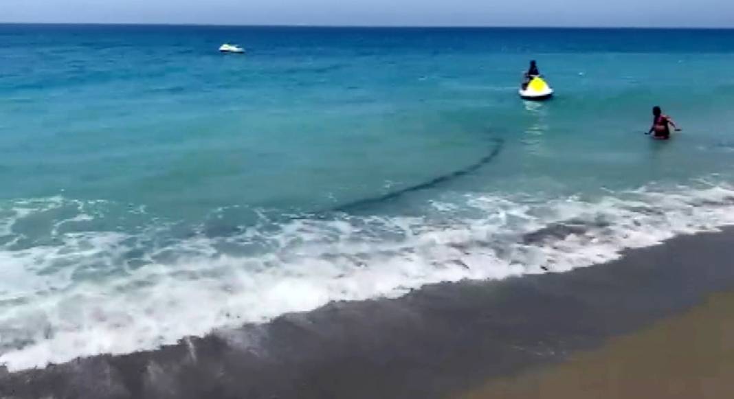 Antalya sahillerinde görülmemiş olay! Kıyıya vurdu, uzunluğu tam 500 metre 5