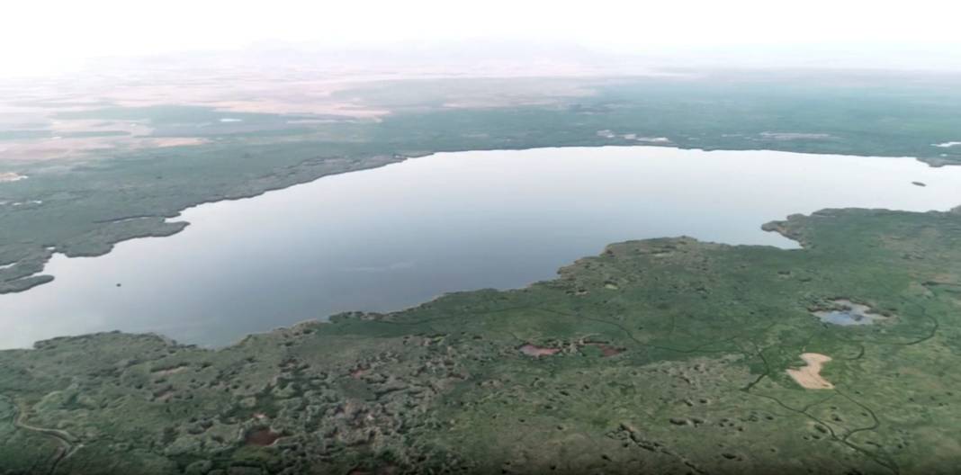 Allı turnaların sığınağı Eber Gölü kuraklık tehdidi altında 1
