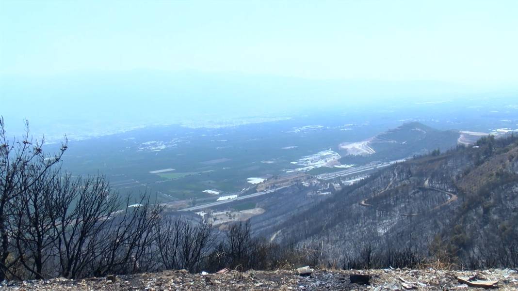 Orman yangınları sonrası ölüm riski arttı 7