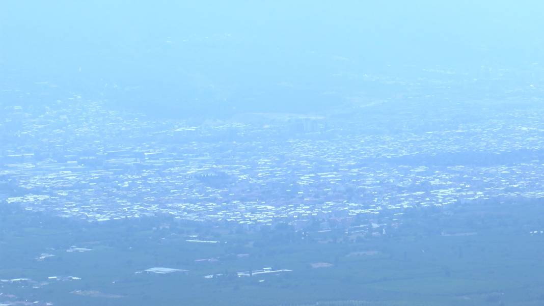 Orman yangınları sonrası ölüm riski arttı 5