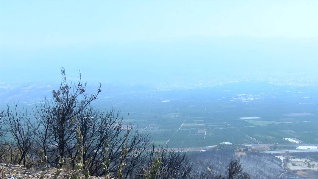 Orman yangınları sonrası ölüm riski arttı 3