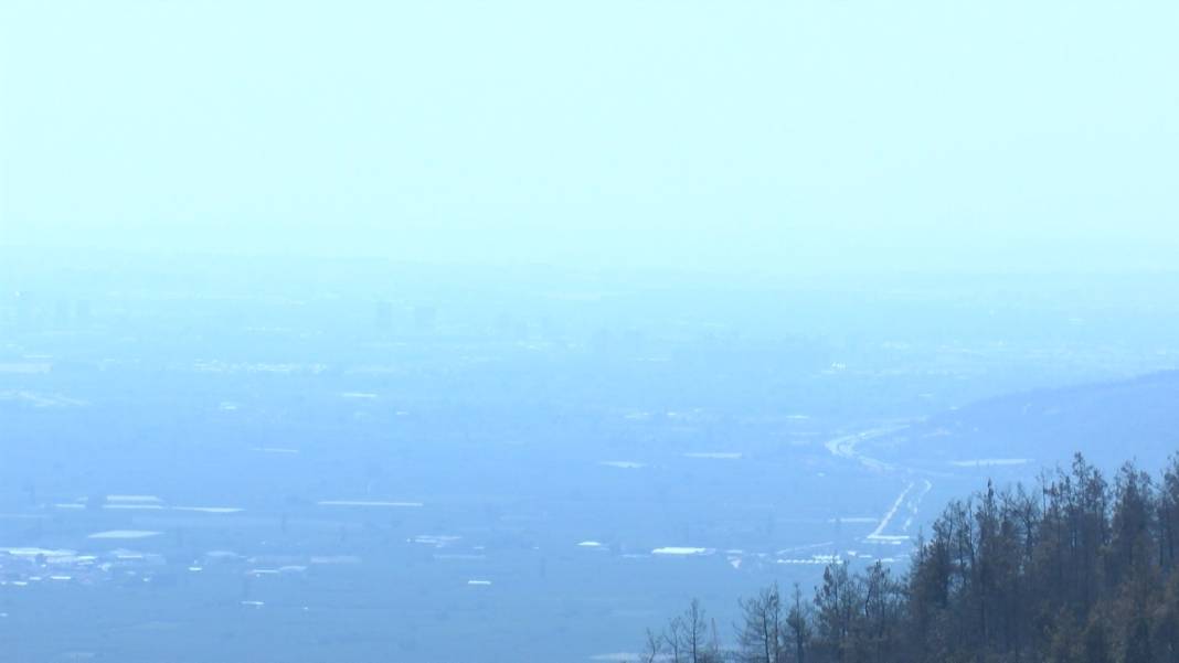 Orman yangınları sonrası ölüm riski arttı 1