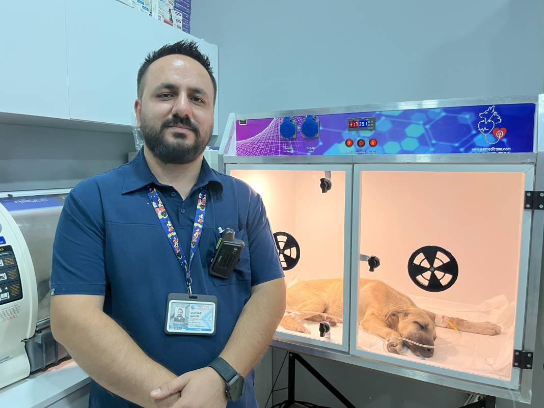 Yavru köpeğe sopayla dakikalarca vurdu! Hayati riski var 4