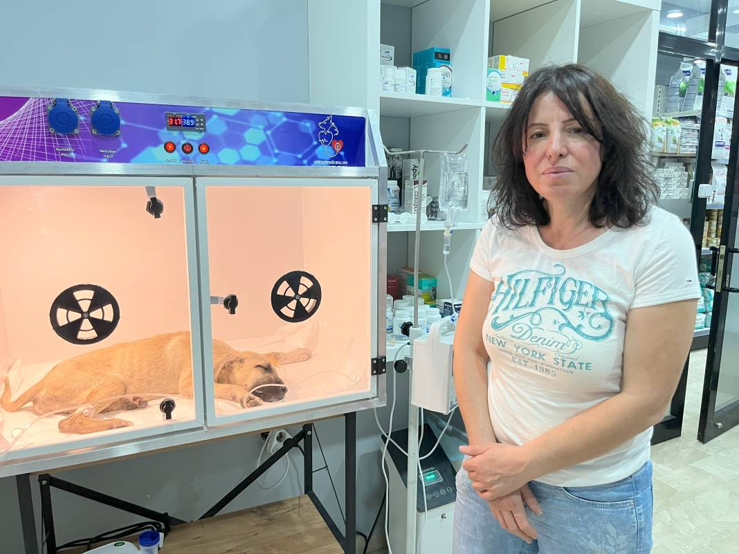 Yavru köpeğe sopayla dakikalarca vurdu! Hayati riski var 2