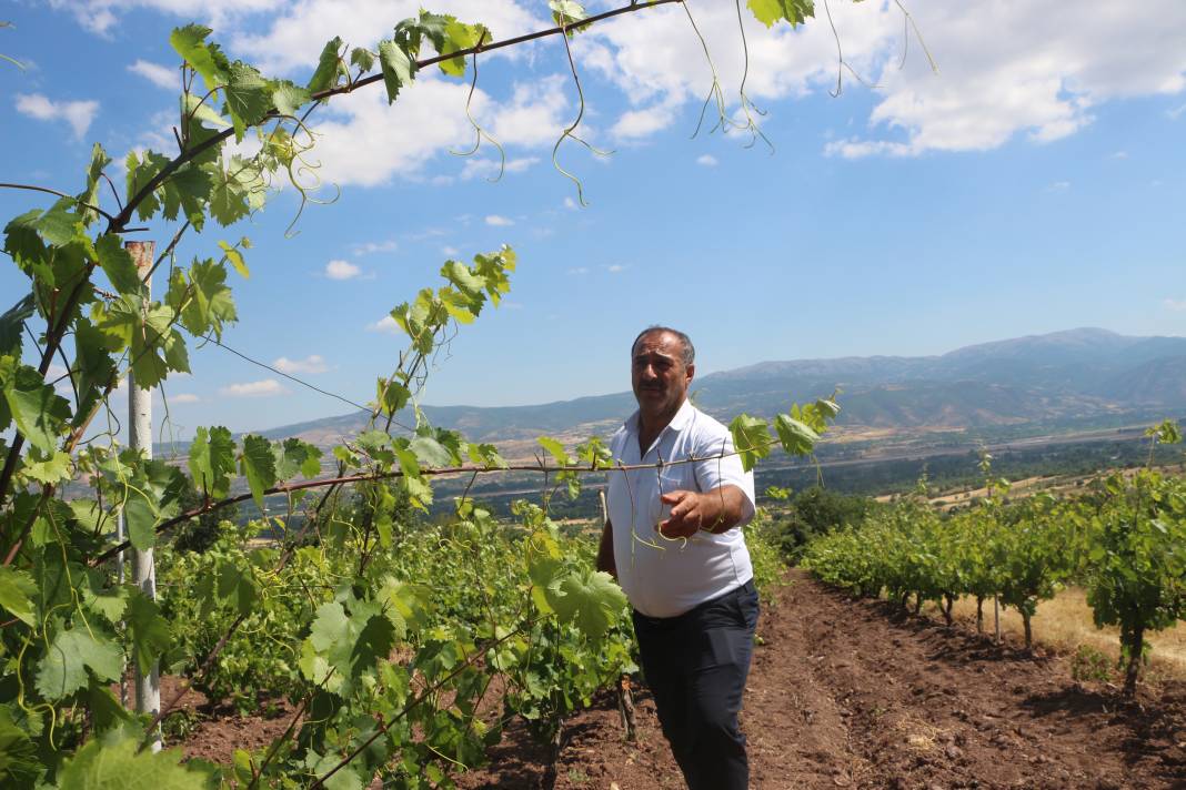 Tarladan tam 1 ton çalındı! Köylüler nöbette 2