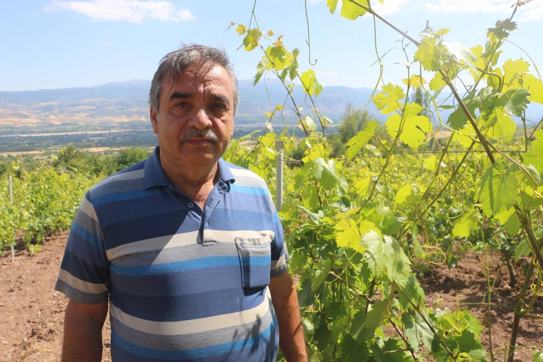 Tarladan tam 1 ton çalındı! Köylüler nöbette 3