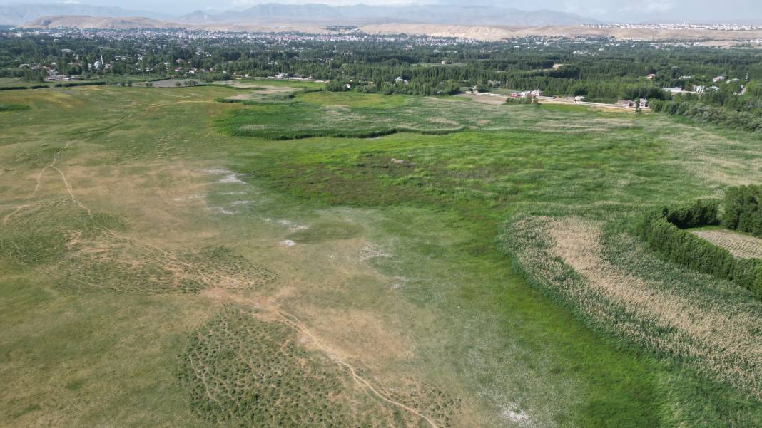 Van Gölü alarm veriyor 3