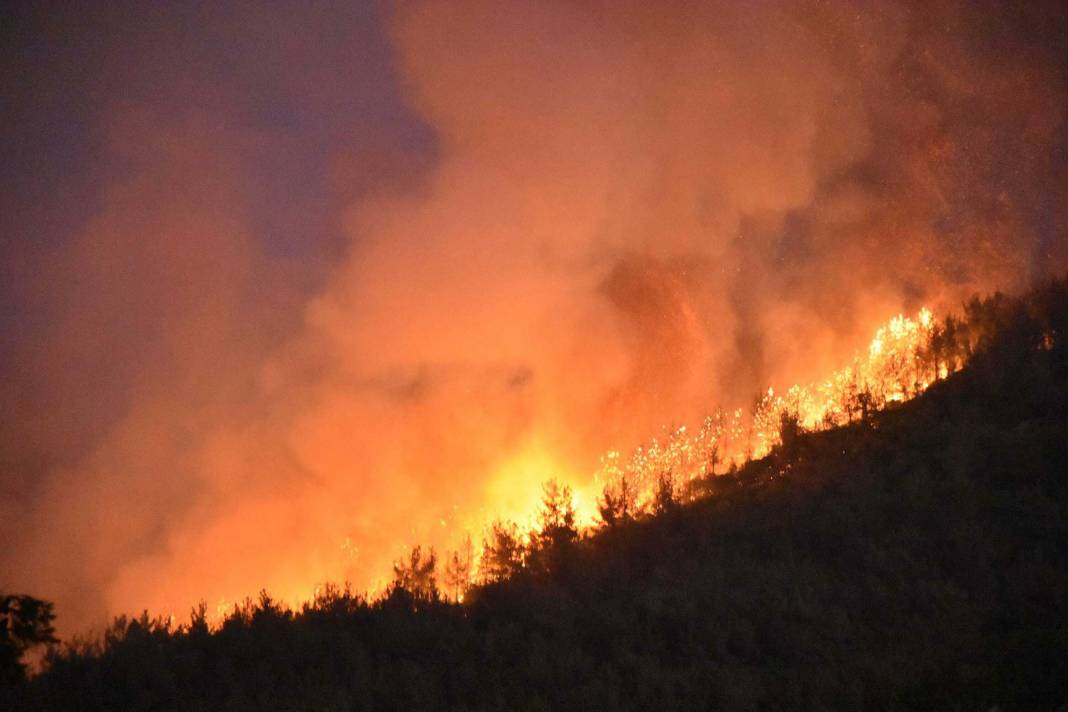 Orman yangınları için kritik tarih! Uzman isim "Baş edilemez hale geldi" diyerek açıkladı 1