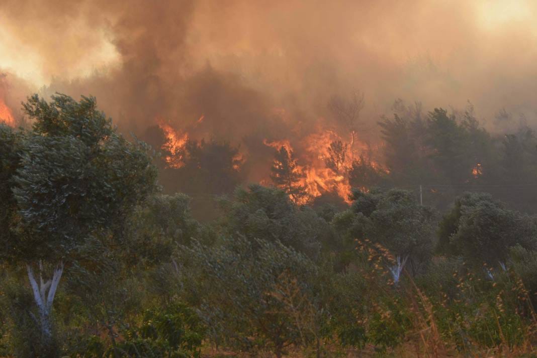 Orman yangınları için kritik tarih! Uzman isim "Baş edilemez hale geldi" diyerek açıkladı 2
