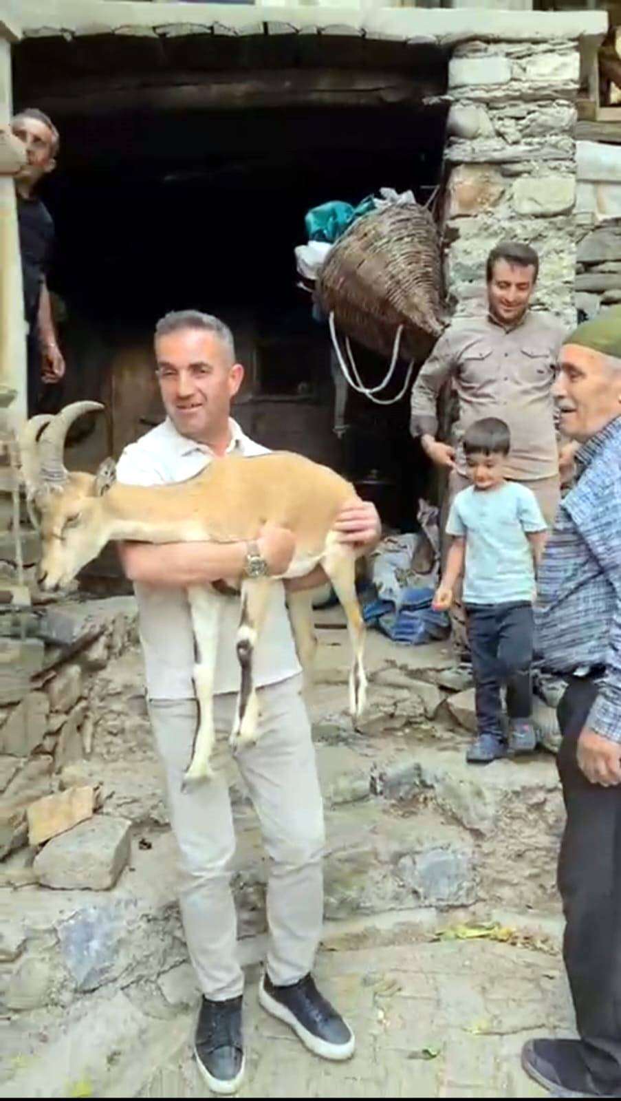 Bitkin dağ keçisine mahalleli sahip çıktı 1