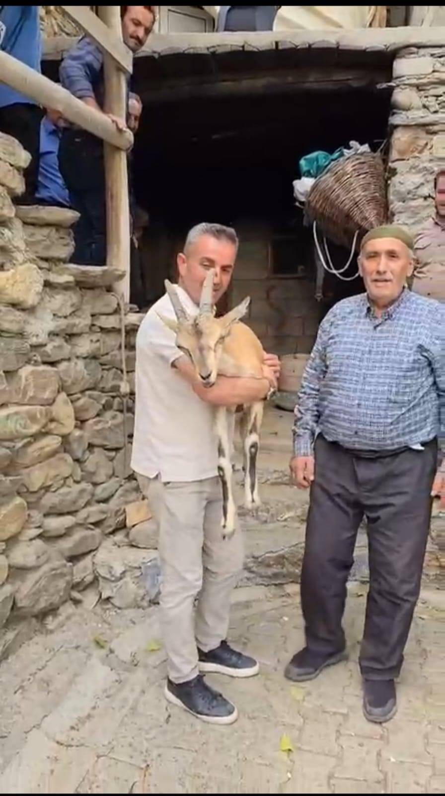 Bitkin dağ keçisine mahalleli sahip çıktı 4