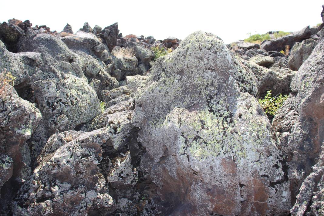 Ağrı'da lavların yuttuğu köyler 170 yıl sonra gün yüzüne çıkıyor 7