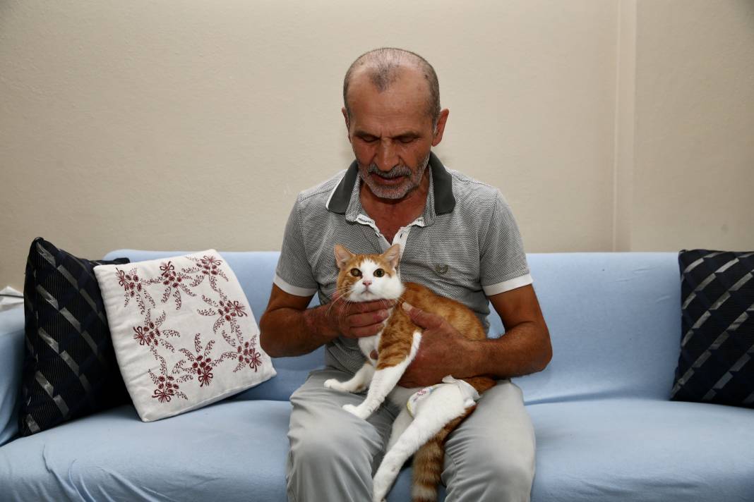 Sokaktaki kedilerin umudu: Temel ve Elmas Sezer çifti 25 cana hayat veriyor 5