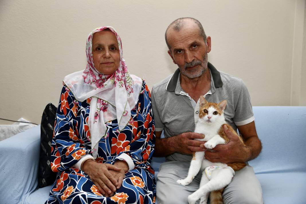 Sokaktaki kedilerin umudu: Temel ve Elmas Sezer çifti 25 cana hayat veriyor 6