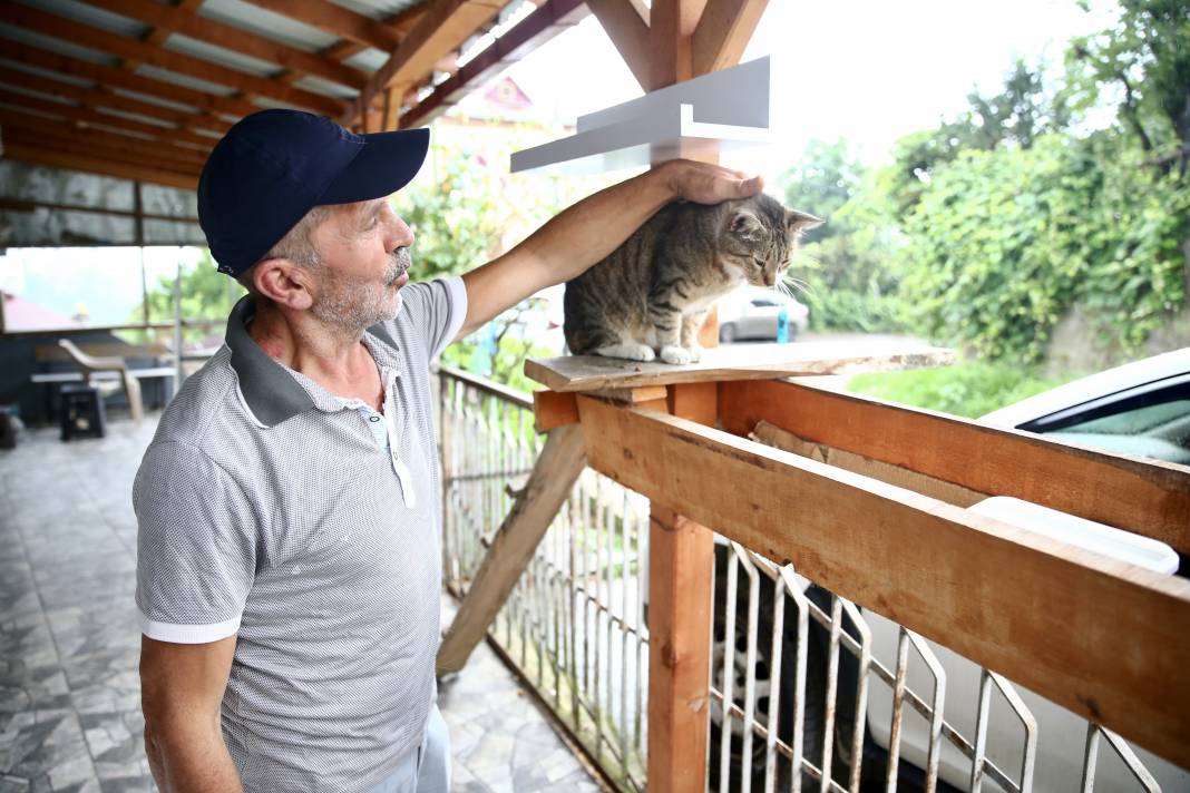 Sokaktaki kedilerin umudu: Temel ve Elmas Sezer çifti 25 cana hayat veriyor 1