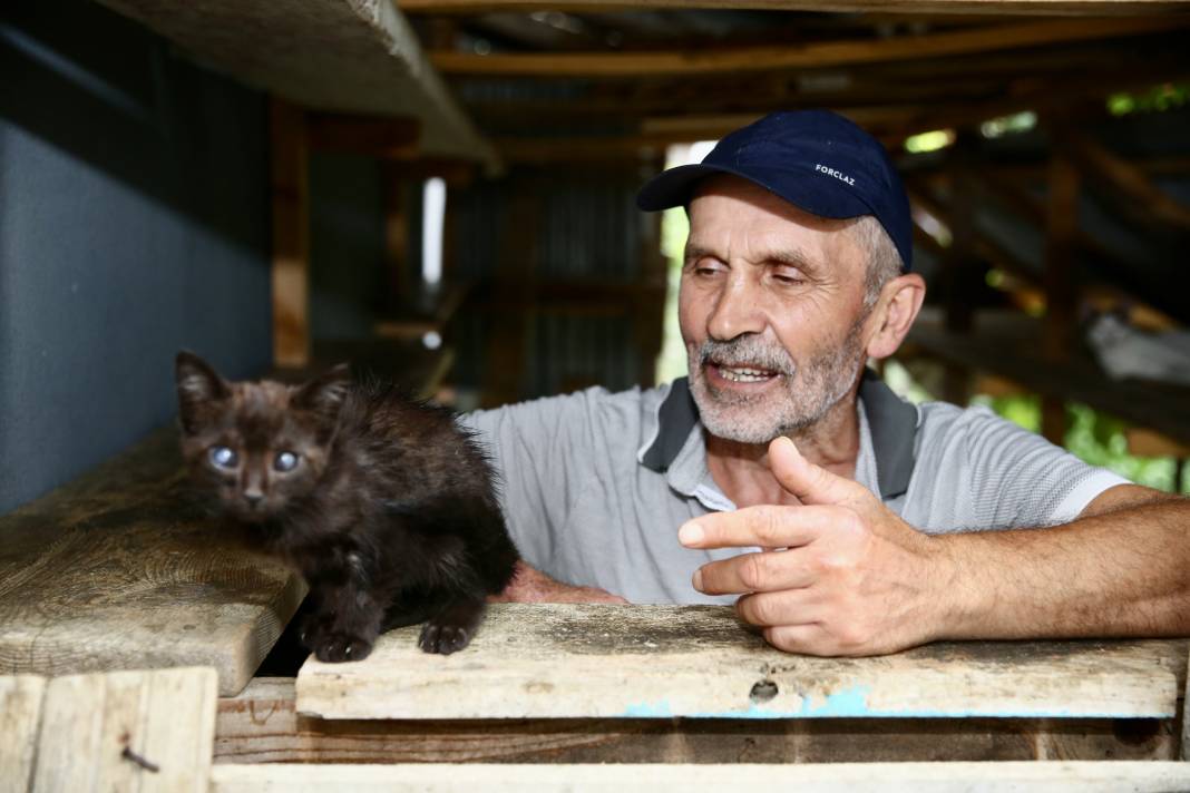 Sokaktaki kedilerin umudu: Temel ve Elmas Sezer çifti 25 cana hayat veriyor 3