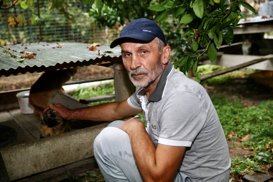 Sokaktaki kedilerin umudu: Temel ve Elmas Sezer çifti 25 cana hayat veriyor 15
