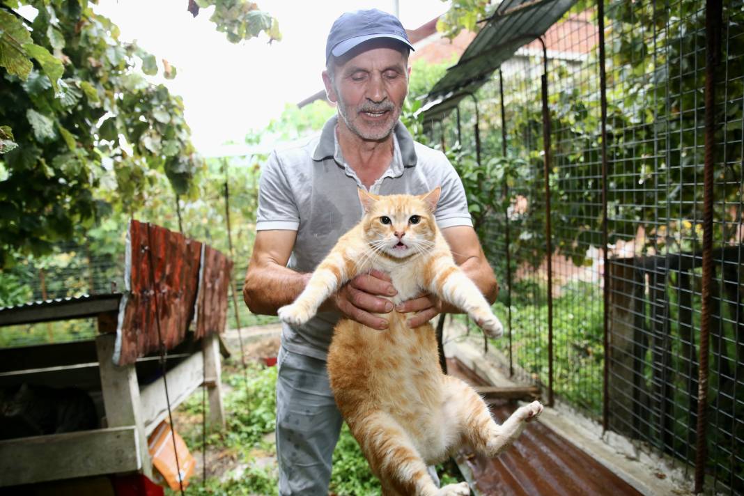 Sokaktaki kedilerin umudu: Temel ve Elmas Sezer çifti 25 cana hayat veriyor 17