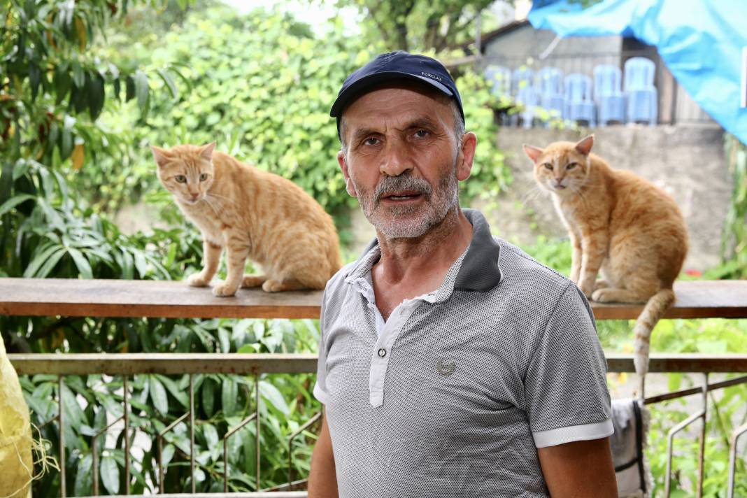 Sokaktaki kedilerin umudu: Temel ve Elmas Sezer çifti 25 cana hayat veriyor 11